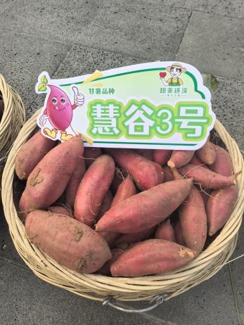�����ϸ�J9���ֲ����� - J9���ֲ��ϸ罻������